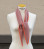 DYLAN – Foulard Cachemire Unisexe