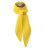 DYLAN – Foulard Cachemire Unisexe
